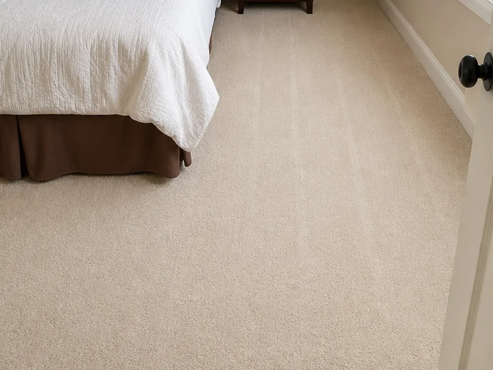 Before: Bedroom Carpet Cleaning