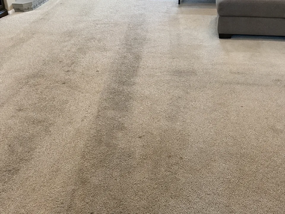 Before: Large-Room Carpet Cleaning