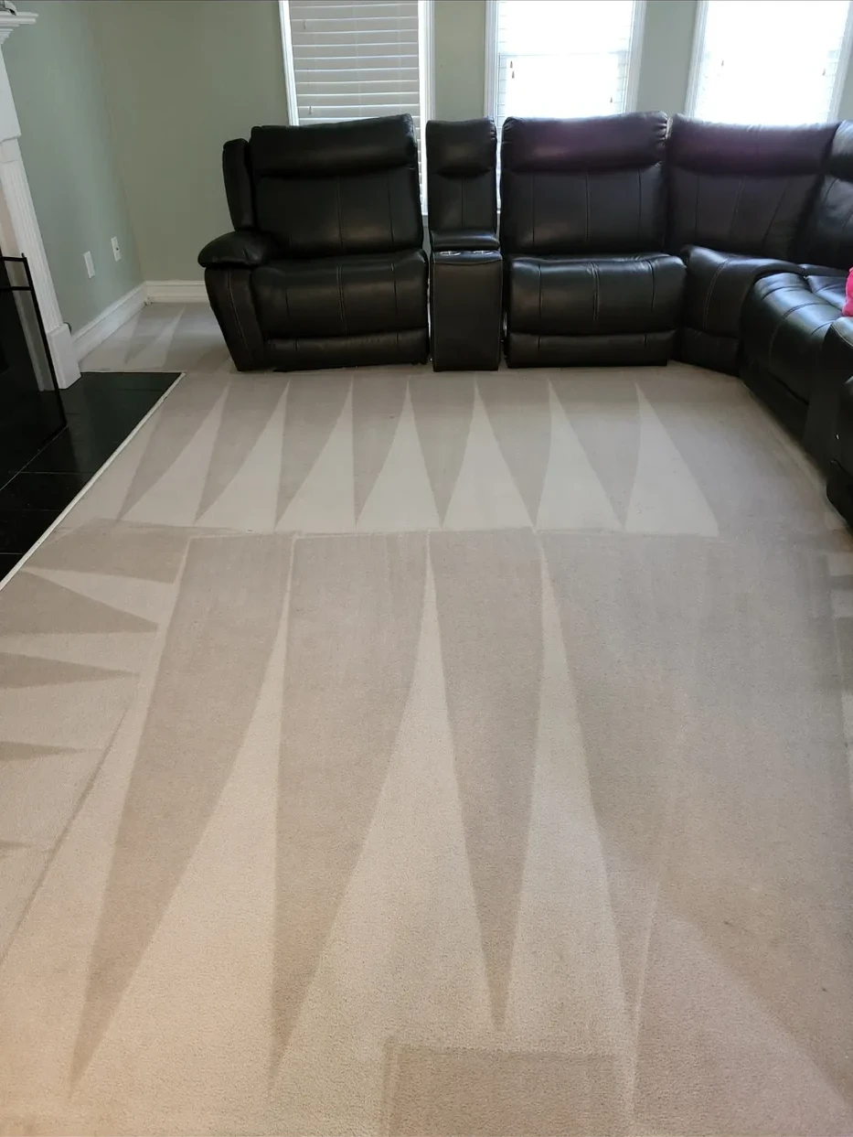 Before: Living room carpet cleaning