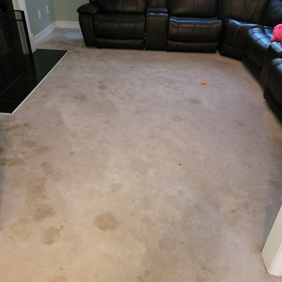 After: Living room carpet cleaning